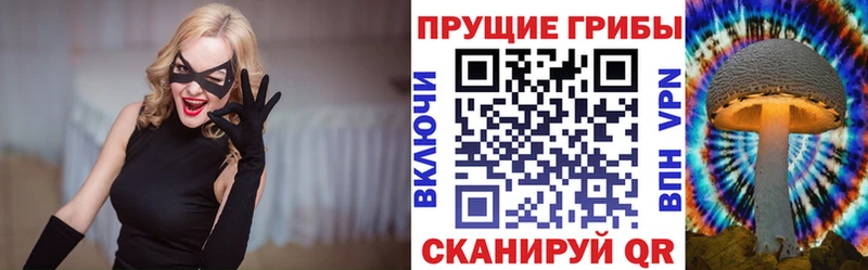 omg   Ясный  Псилоцибиновые грибы MAGIC MUSHROOMS 